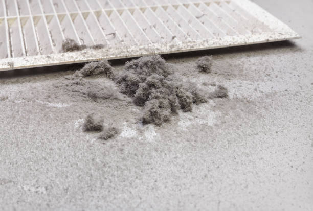 Best Ductwork Cleaning Services  in Somers, MT