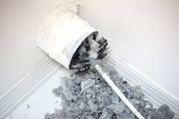 Best Professional Duct Cleaning Services  in Somers, MT